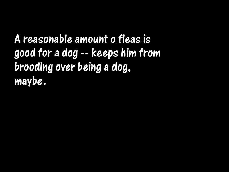 Adversity Motivational Quotes
