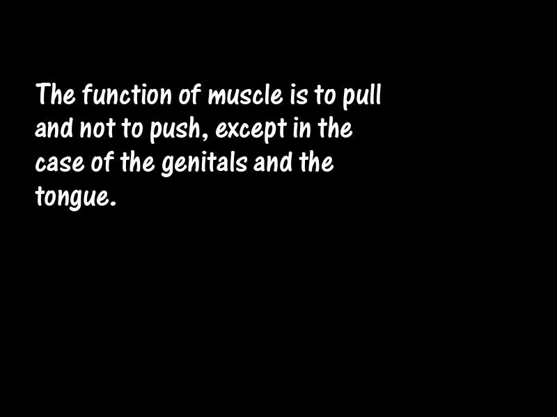 Body Motivational Quotes
