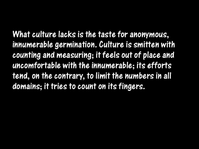 Culture Motivational Quotes