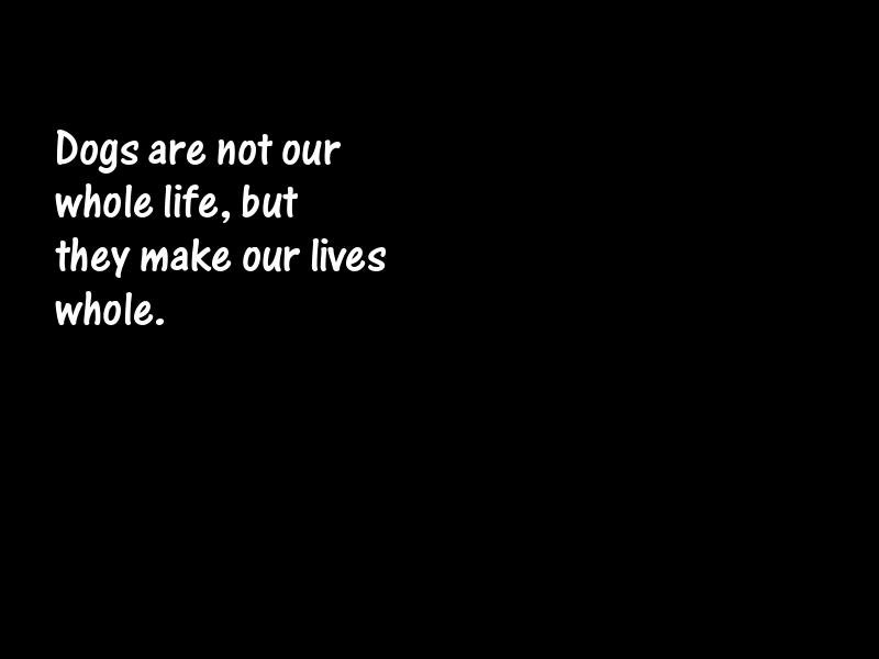Dogs Motivational Quotes