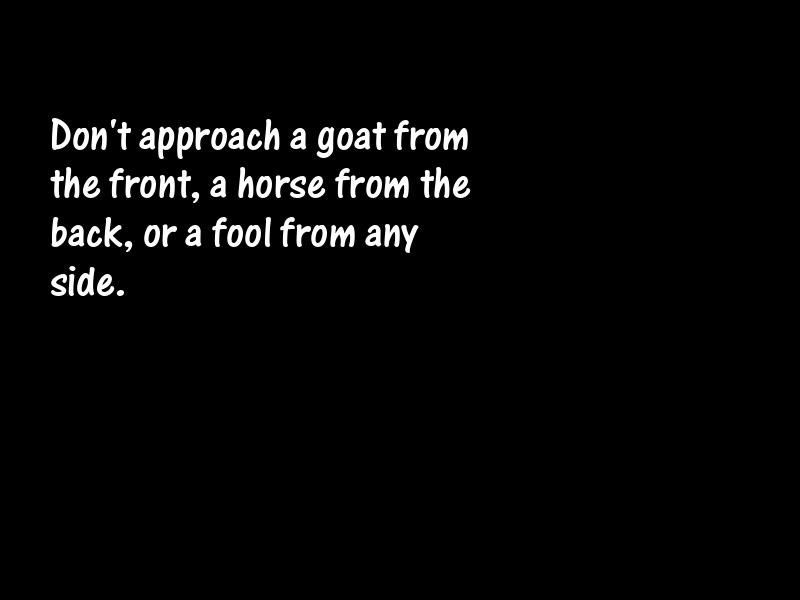 Fools and foolishness Motivational Quotes