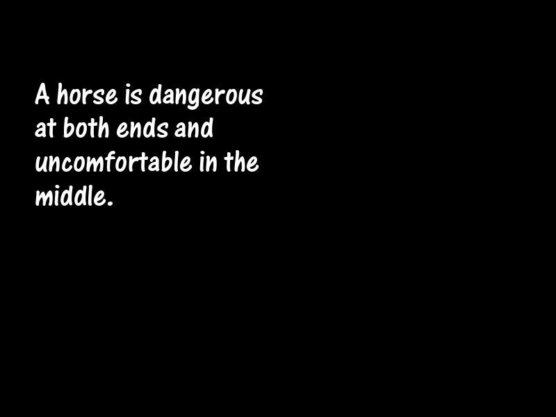 Horses Motivational Quotes