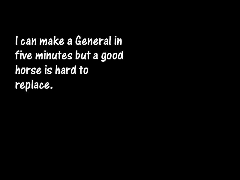 Horses Motivational Quotes