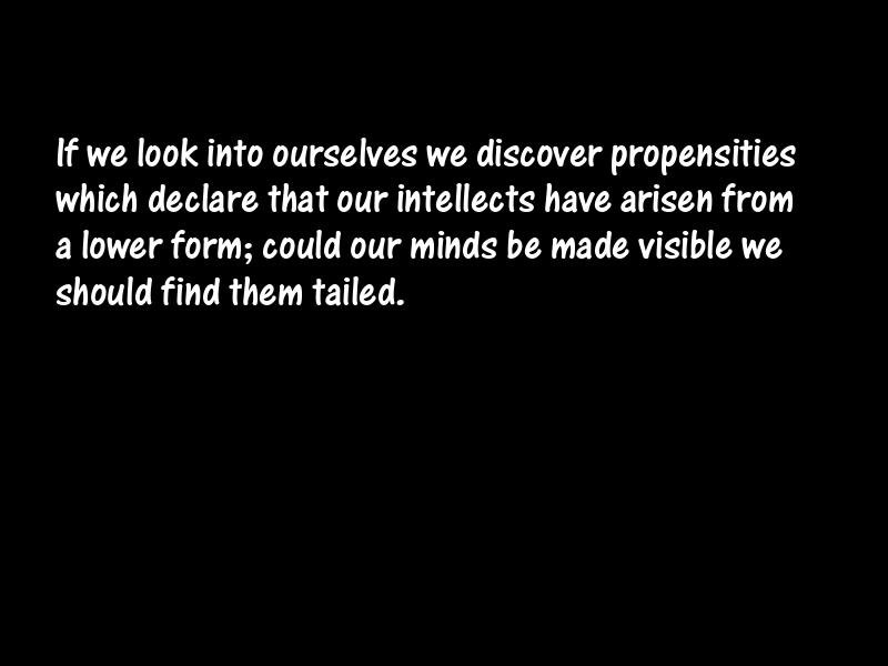 Intelligence and intellectuals Motivational Quotes