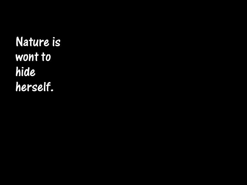 Nature Motivational Quotes