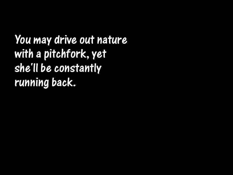 Nature Motivational Quotes