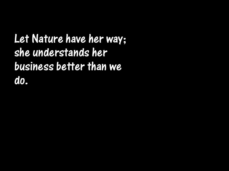 Nature Motivational Quotes