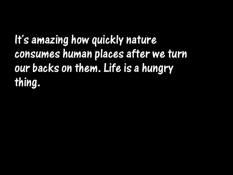Nature Motivational Quotes