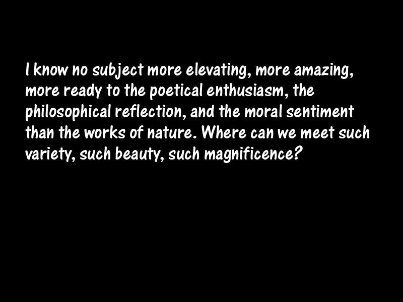 Nature Motivational Quotes