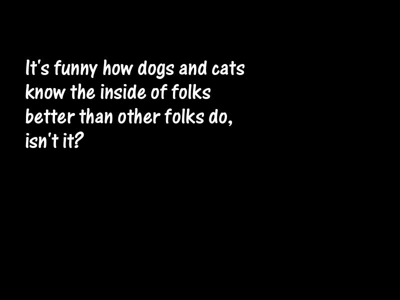 Pets Motivational Quotes