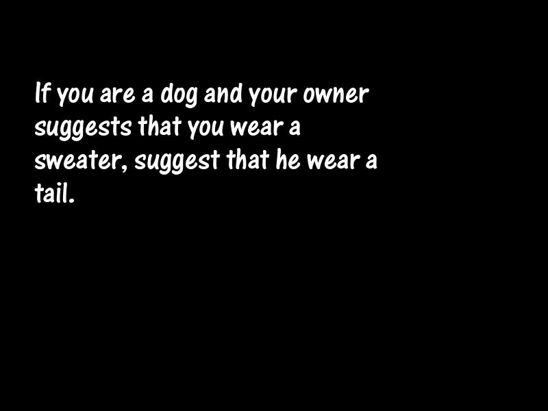 Pets Motivational Quotes