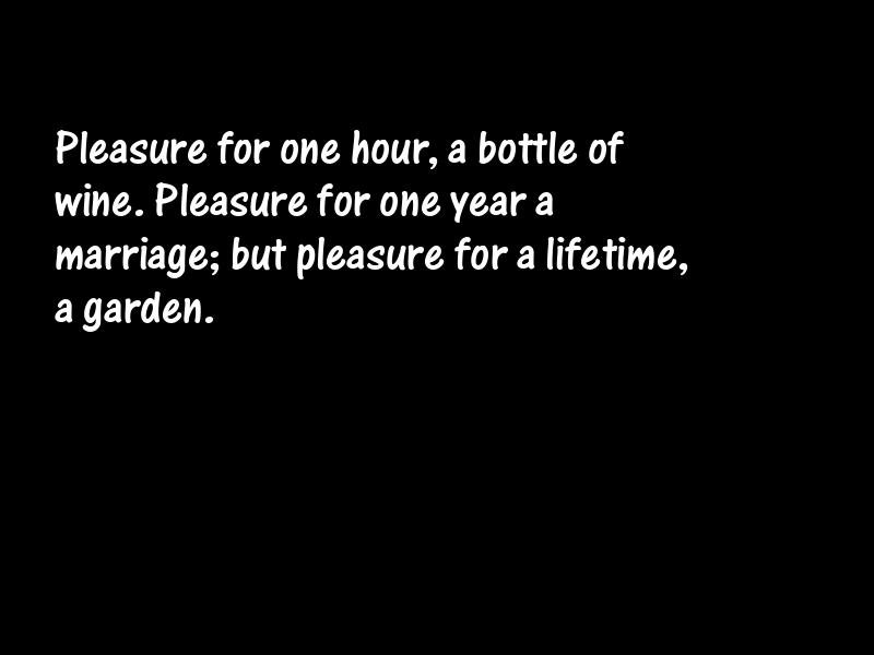 Pleasure Motivational Quotes