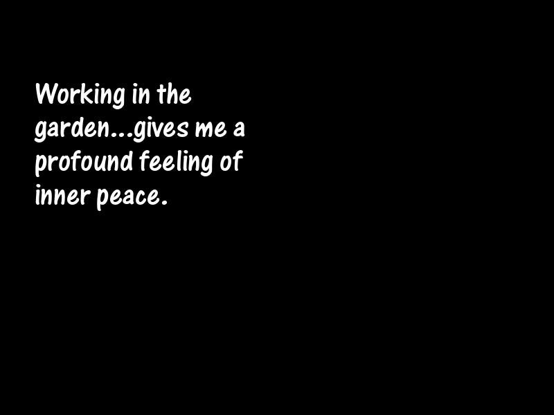 Relaxation Motivational Quotes