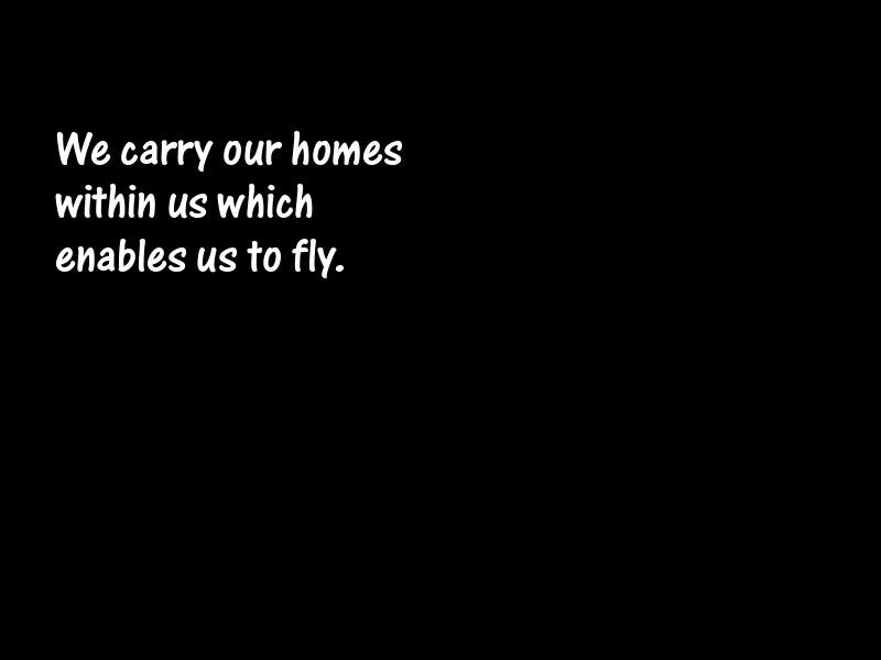 Self-sufficiency Motivational Quotes
