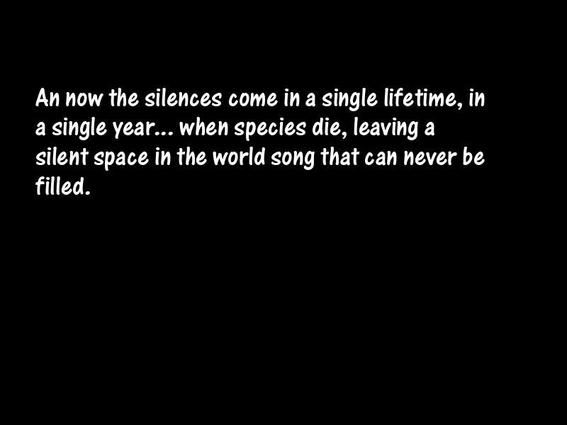 Silence Motivational Quotes