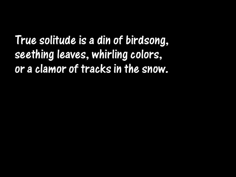 Solitude Motivational Quotes