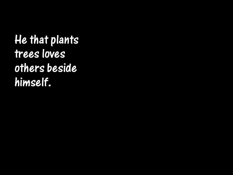 Trees Motivational Quotes
