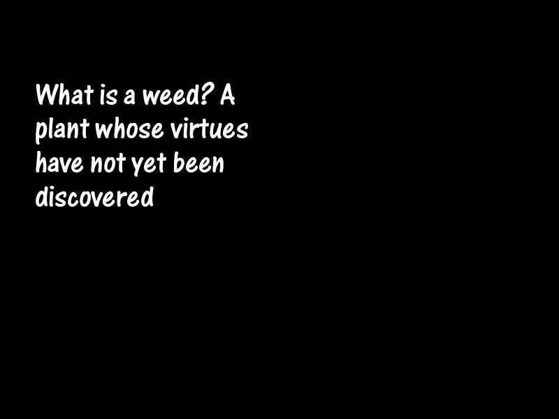 Virtue Motivational Quotes